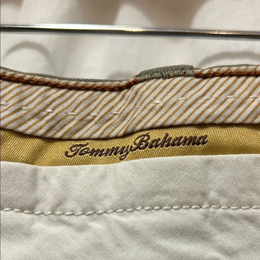 Tommy Bahama Shorts Men's Waist 35 Silk Flat Front Quiet Luxury Beach Resortwear